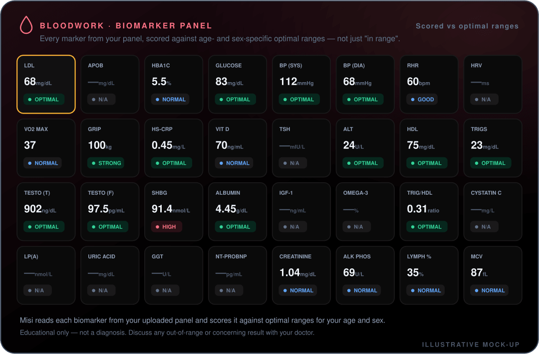 Mock-up of the Misi blood-panel parser showing multiple lipid and metabolic markers extracted from an uploaded lab report with reference ranges and flags.