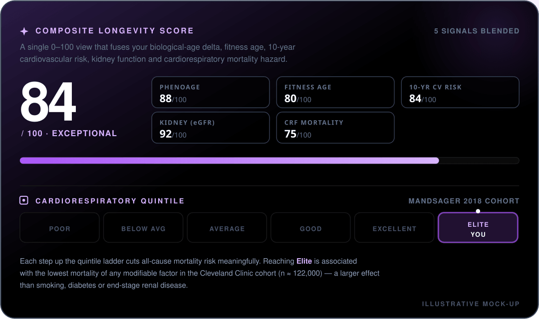 Mock-up of the Misi composite longevity score tile, showing an overall score of 84 out of 100 blended from PhenoAge, fitness age, cardiovascular risk, kidney function and cardiorespiratory mortality, with a cardiorespiratory quintile bar.