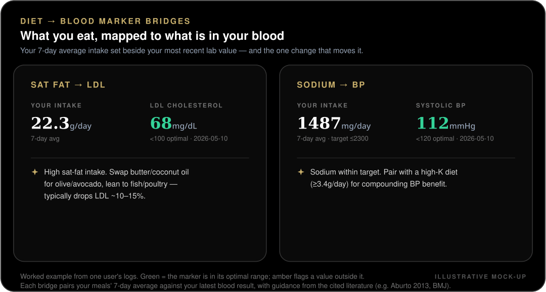 Mock-up of the Misi diet-to-biomarker bridge card pairing added-sugar and alcohol intake with a triglyceride reading and a recommendation to cut sugary drinks and alcohol.