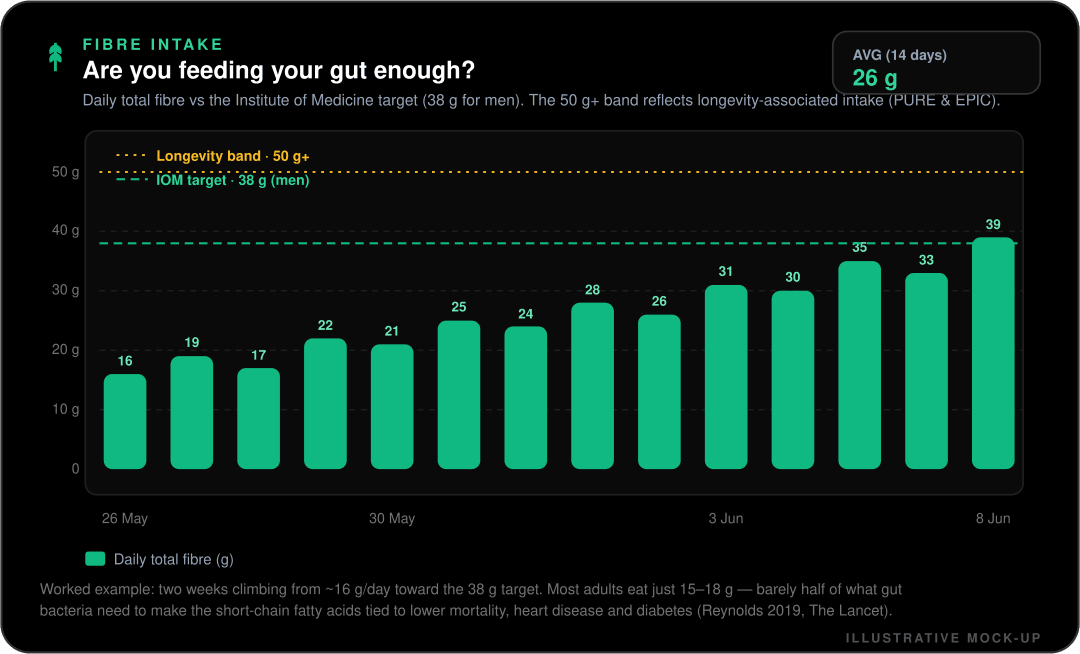 Mock-up of the Misi fibre intake chart showing daily fibre as green bars over two weeks climbing from about 16 grams toward the 38 gram Institute of Medicine target line, with a dashed 50 gram longevity band above and a 14-day average of 26 grams.