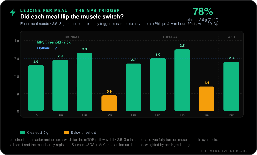 Mock-up of the Misi leucine per meal chart showing nine recent meals as bars against the 2.5 gram MPS threshold and a 3 gram optimal line, with seven of nine meals clearing the threshold (78 percent) and two snack meals falling short.