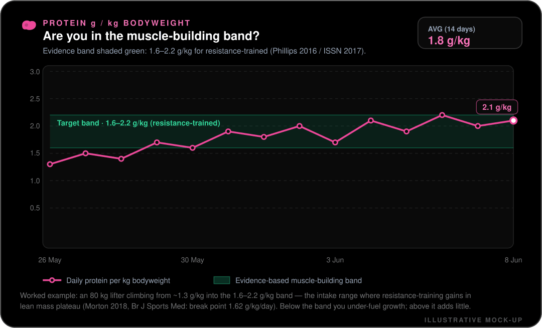 Mock-up of the Misi protein g per kg bodyweight chart showing daily protein climbing into the target band, with a 14-day average of 1.8 g/kg.