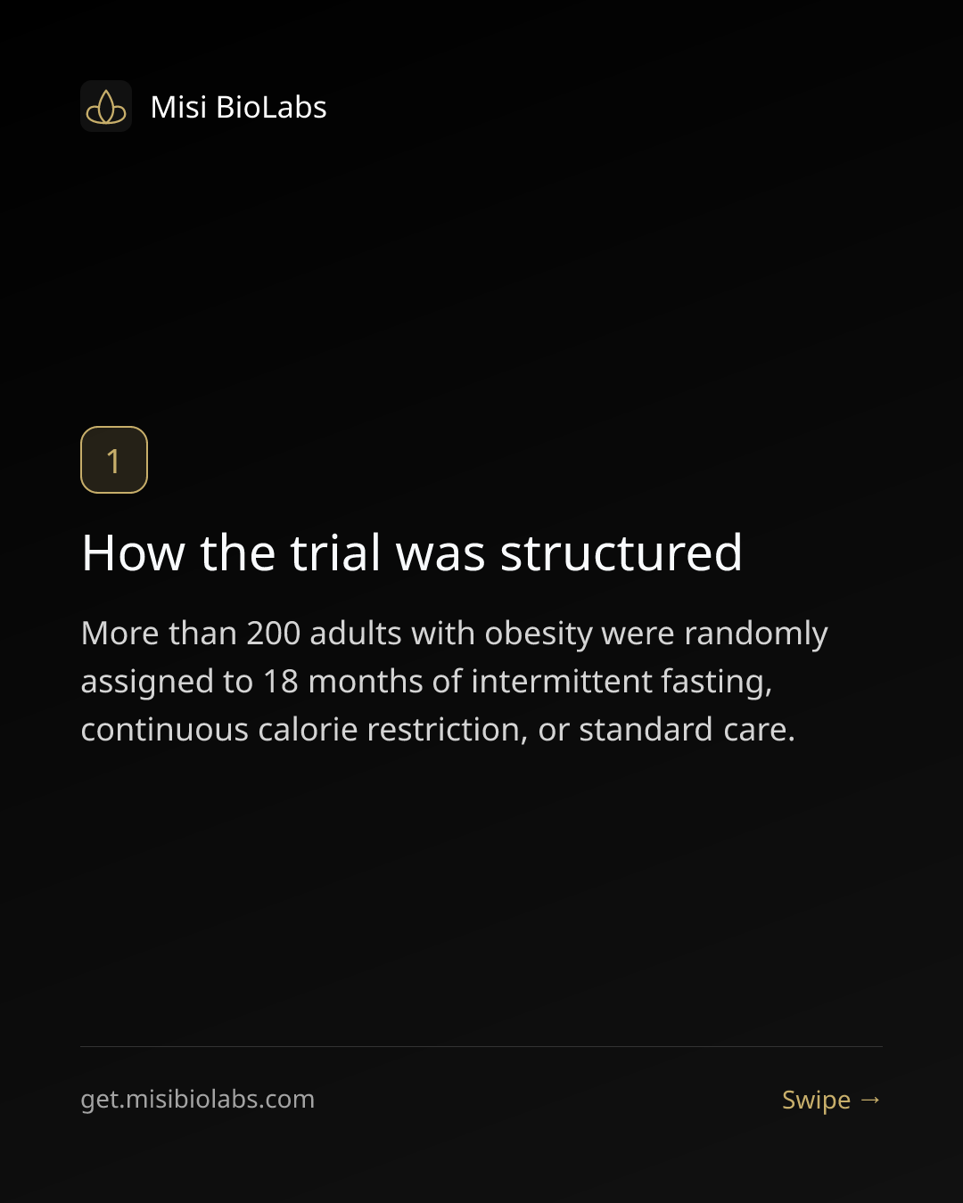 Carousel slide 2