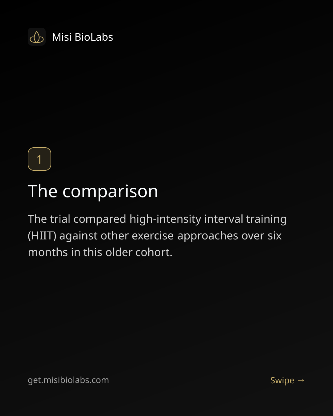 Carousel slide 2