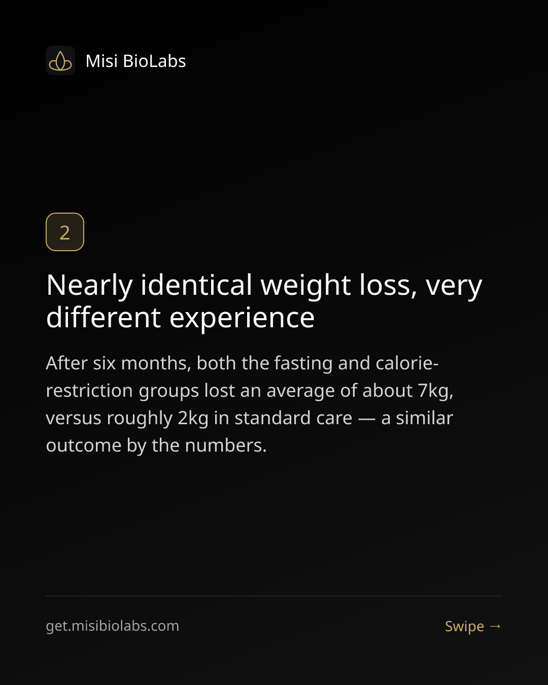 Carousel slide 3