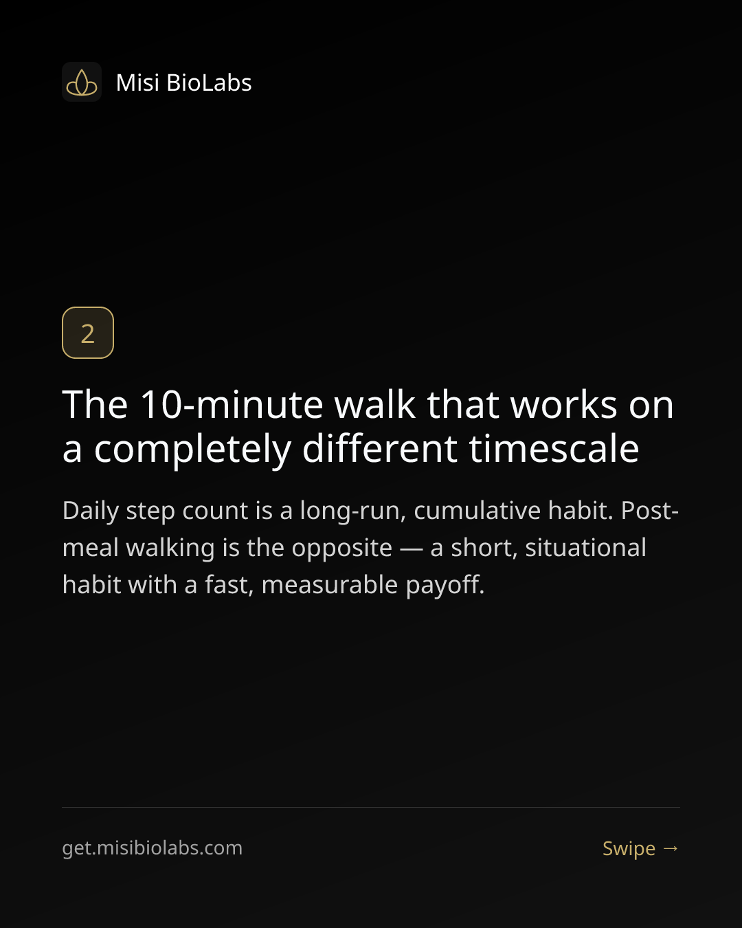 Carousel slide 3