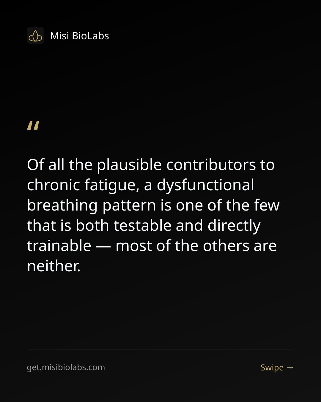 Carousel slide 5