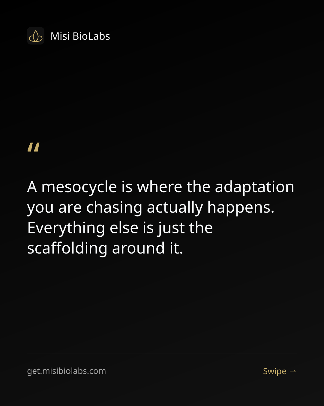 Carousel slide 7