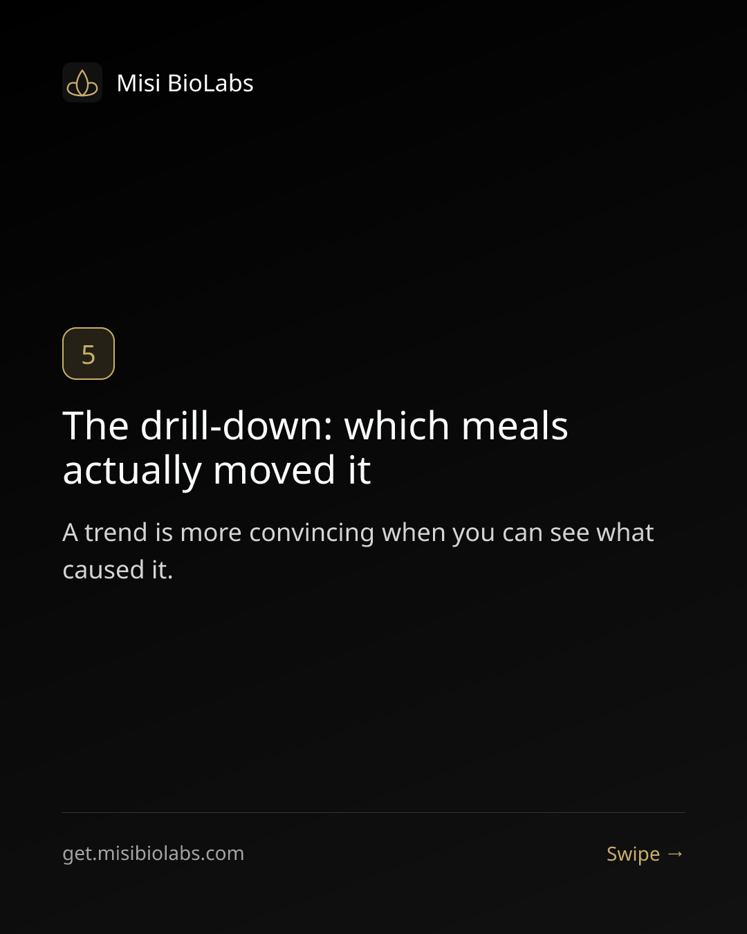Carousel slide 8