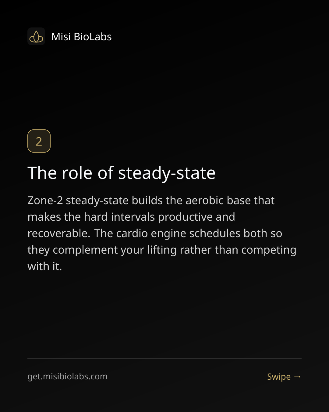 Carousel slide 3