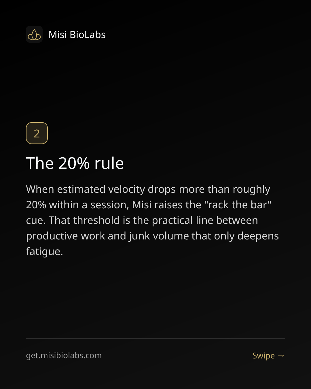 Carousel slide 3